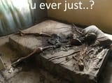 youeverjust