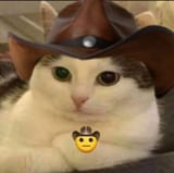 paw-some gunslinger