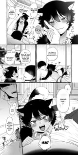 combined (17)