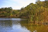 randomlake