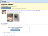 1748211619611245