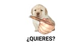 9ffmmjn7gmyb1