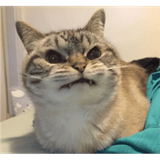 sticker_19