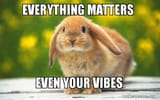 everything-matters