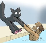 cat does not like pools 6c382f10ac719ca12909e67f46e83231