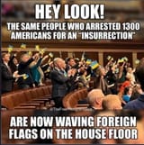 democrats insurrection arrests wave ukraine flag on house floor