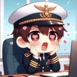 Commander 11