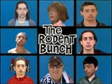 rodentbunch