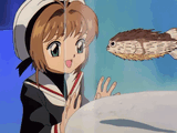 SAKURA BLOWFISH