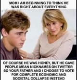 trump mean tweets democrat votes