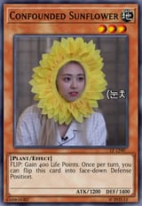 Confounded Sunflower