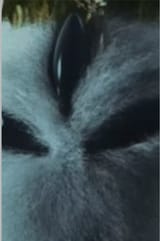 1718161536169693