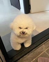 175