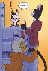 08