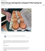the eggs 3