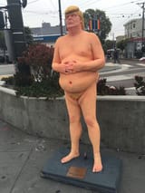 trump naked