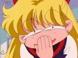 i-think-my-favorite-aspect-of-sailor-moon-is-how-venus-was-v0-9z9da4knskte1
