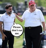 fat