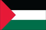 palestine flag