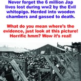 japanese-americans