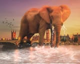 Phant