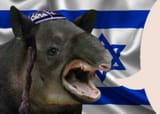 Jew speaking