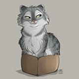 smug cat in box 1547383850.tanidareal_ifisits-itfits