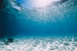 ocean