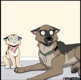zeMbw6D