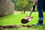 digging