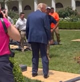 trump leg braces