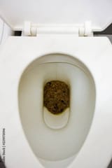 images (9)