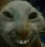 1723958969719854