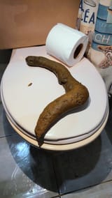 image0