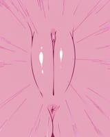 lmpw_ill-ntr_2025-03-16_00016_