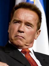 Screenshot 2025-06-13 at 19-16-40 arnold schwarzenegger – The Introverted Author
