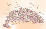 lots of chens