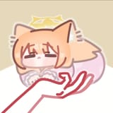 cat sleep in hand