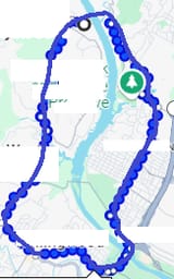 PENIS