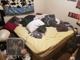 DTPvqFiV4AUJfzv.jpg:large