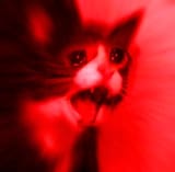 YAMERO