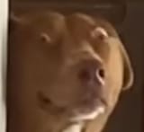 6725613423124