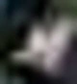 1749853238299844sb