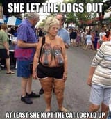 Dogs