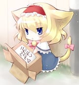ALICE CAT PLS ADOPT