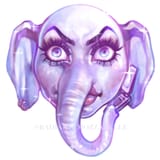 da348b57a6621eb4b409321dd3f17057