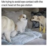 GtYmqlXXwAAndvQ