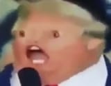 potato-trump