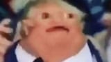 potatotrump