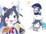 daily life of cat